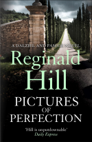 book cover for Pictures of Perfection