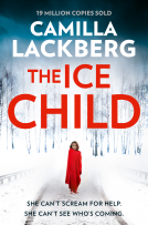 book cover for The Ice Child