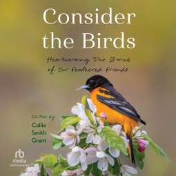 book cover for Consider the Birds