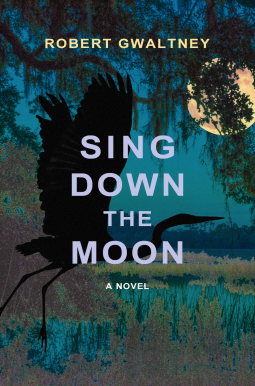 book cover for Sing Down the Moon