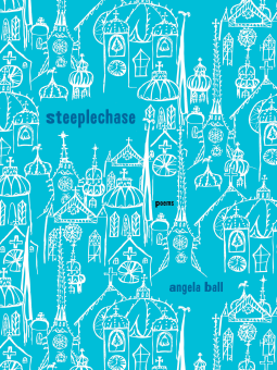 book cover for Steeplechase