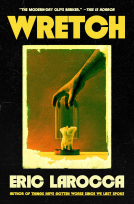 book cover for Wretch