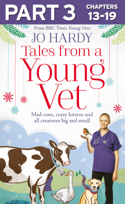 book cover for Tales from a Young Vet: Part 3 of 3