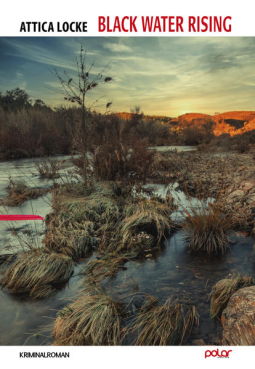 Buchcover für Black Water Rising