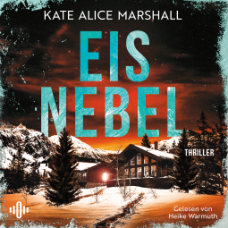 Buchcover für Eisnebel