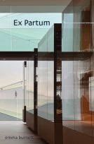 book cover for Ex Partum