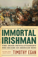 book cover for The Immortal Irishman