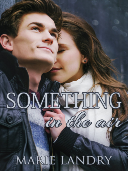 book cover for Something in the Air