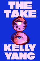 book cover for The Take