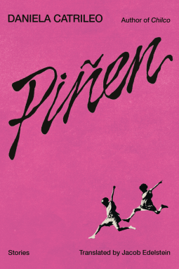 book cover for Piñen