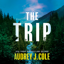 book cover for The Trip