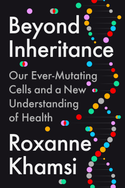 book cover for Beyond Inheritance