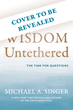book cover for Wisdom Untethered