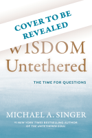 book cover for Wisdom Untethered