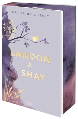 book cover for Landon & Shay