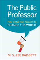 book cover for The Public Professor