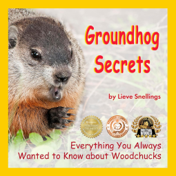 book cover for Groundhog Secrets: Everything You Always Wanted to Know about Woodchucks. A children's non-fiction in a narrative way.