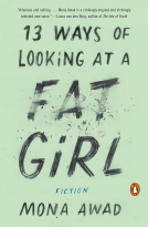 book cover for 13 Ways of Looking at a Fat Girl