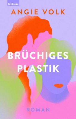 Buchcover für Brüchiges Plastik
