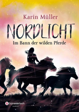 Buchcover für Nordlicht, Band 02
