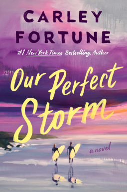 book cover for Our Perfect Storm