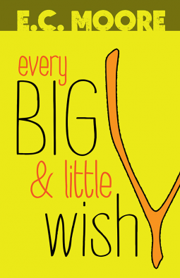 book cover for Every Big & Little Wish