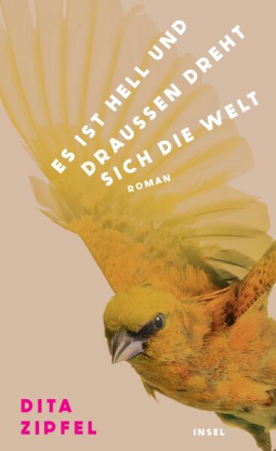 Buchcover für Es ist hell und draußen dreht sich die Welt