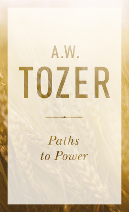 book cover for Paths to Power