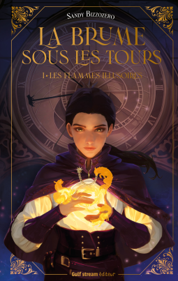 Couverture du livre pour LES FLAMMES ILLUSOIRES