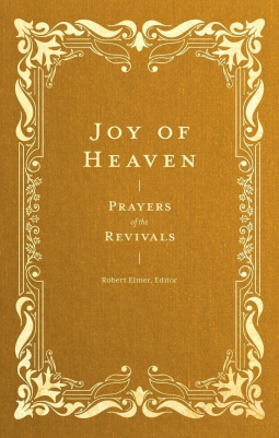 book cover for Joy of Heaven