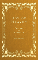 book cover for Joy of Heaven