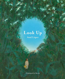book cover for Look Up