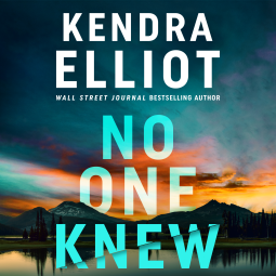 book cover for No One Knew