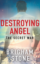 book cover for Destroying Angel - The Secret War