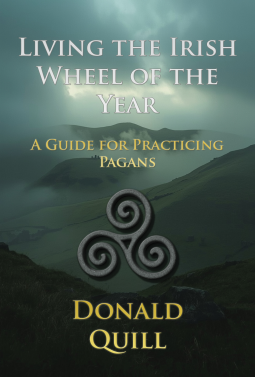 book cover for Living the Irish Wheel of the Year