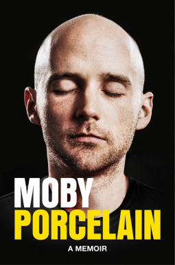 book cover for Porcelain