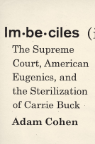 book cover for Imbeciles