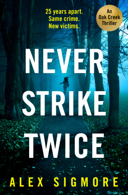 book cover for Never Strike Twice