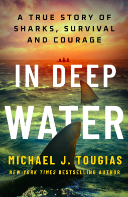 book cover for In Deep Water