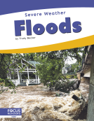 book cover for Floods