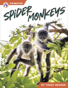 book cover for Spider Monkeys