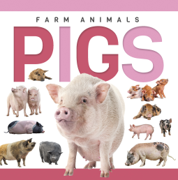 book cover for Pigs