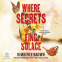 book cover for Where Secrets Find Solace