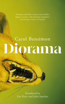 book cover for Diorama
