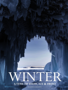 book cover for Winter