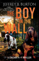 book cover for The Boy in the Wall