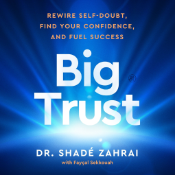 book cover for Big Trust