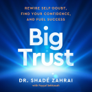 book cover for Big Trust