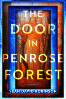 book cover for The Door in Penrose Forest