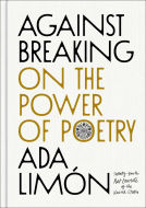 book cover for Against Breaking